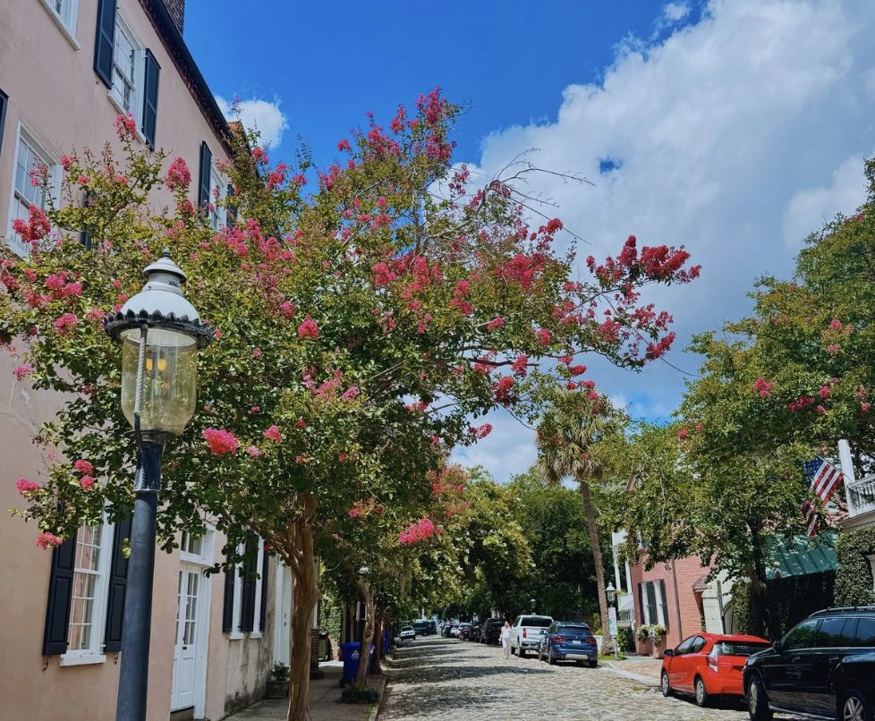 Screenshot 2026-02-06 at 9.29.19 AM